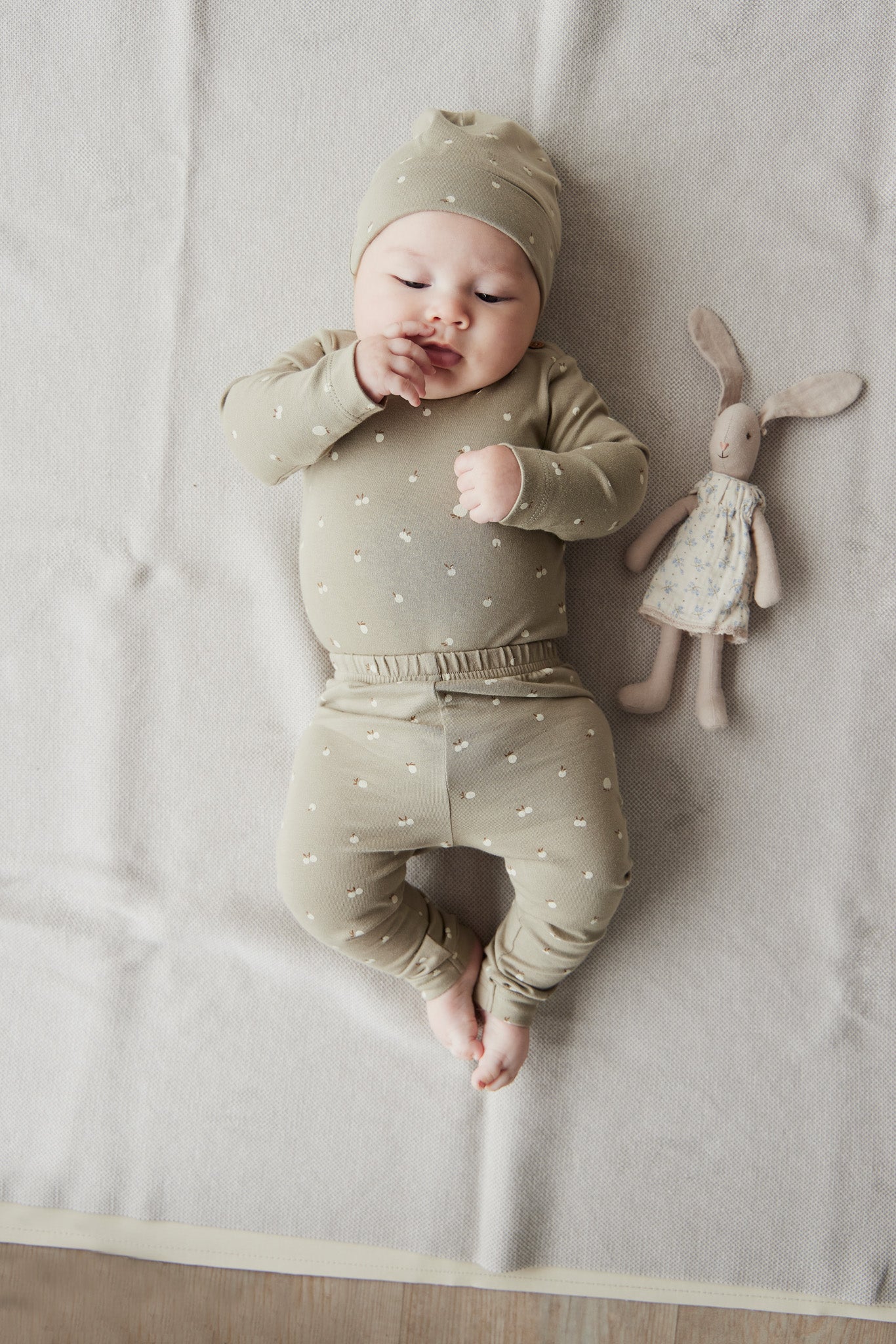 Organic Cotton Legging | Apples Seneca Rock