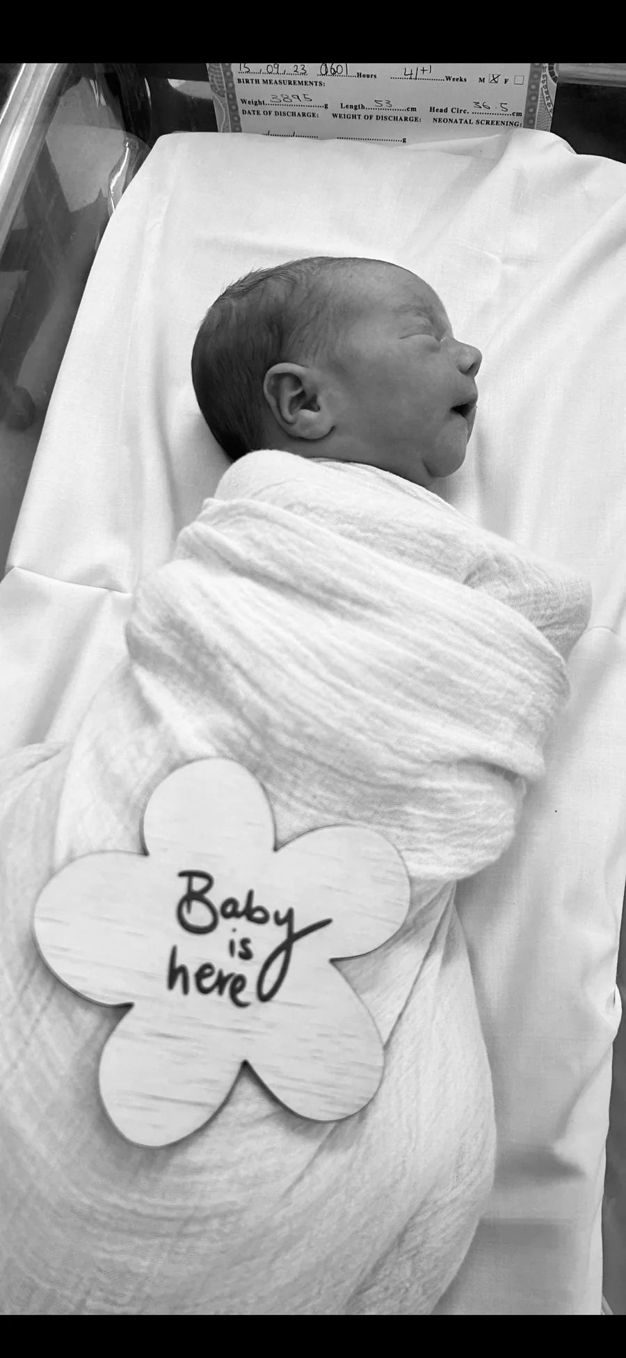 Mere Botanicals | Birth Announcement Plaque