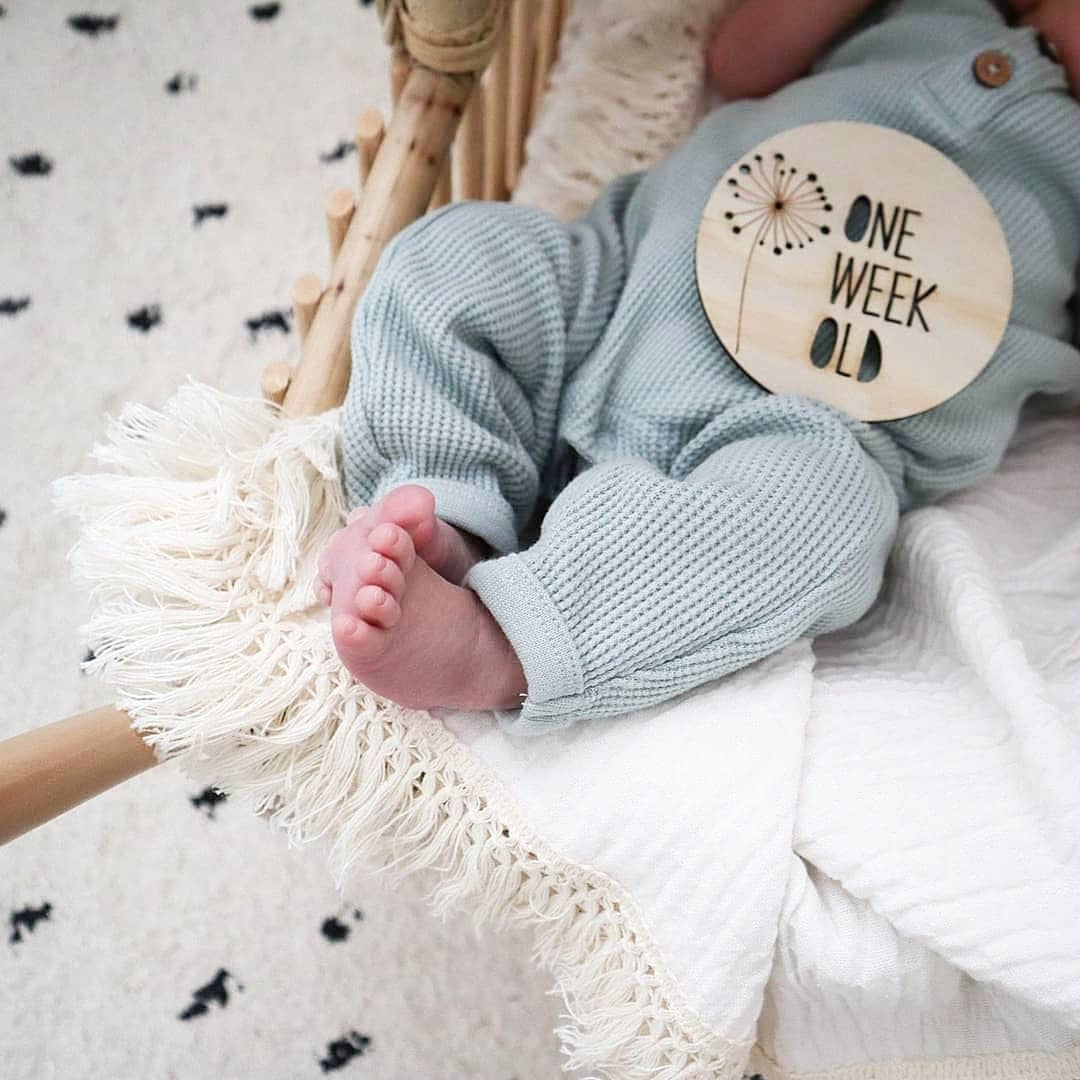 Wooden Month Milestone Card Discs - Dandelion