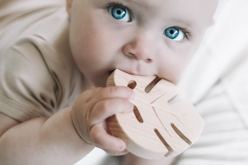 Monster Leaf Teether