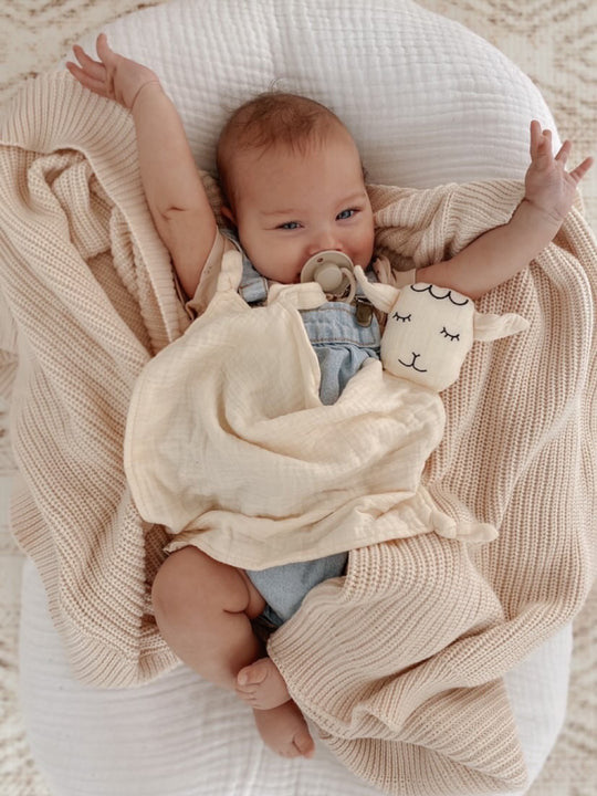 Lola lamb
