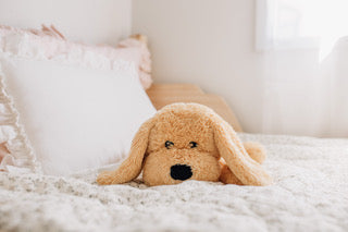 Charlie The Weighted Puppy Dog
