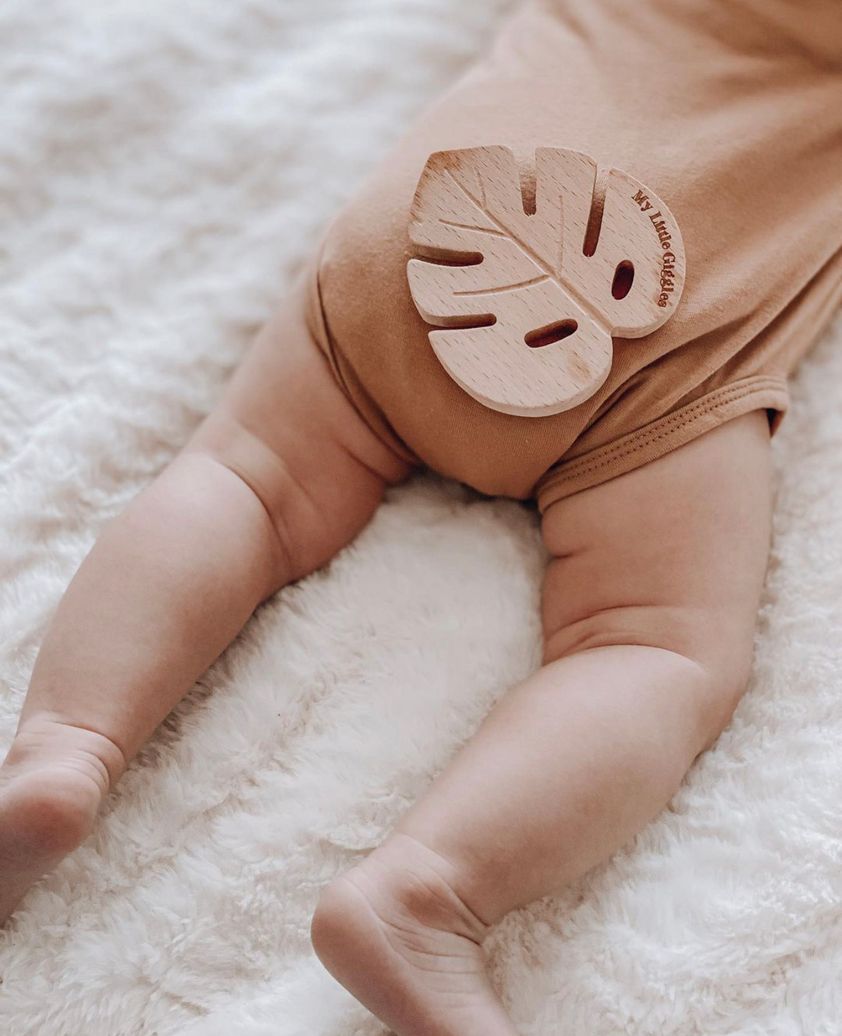 Monster Leaf Teether