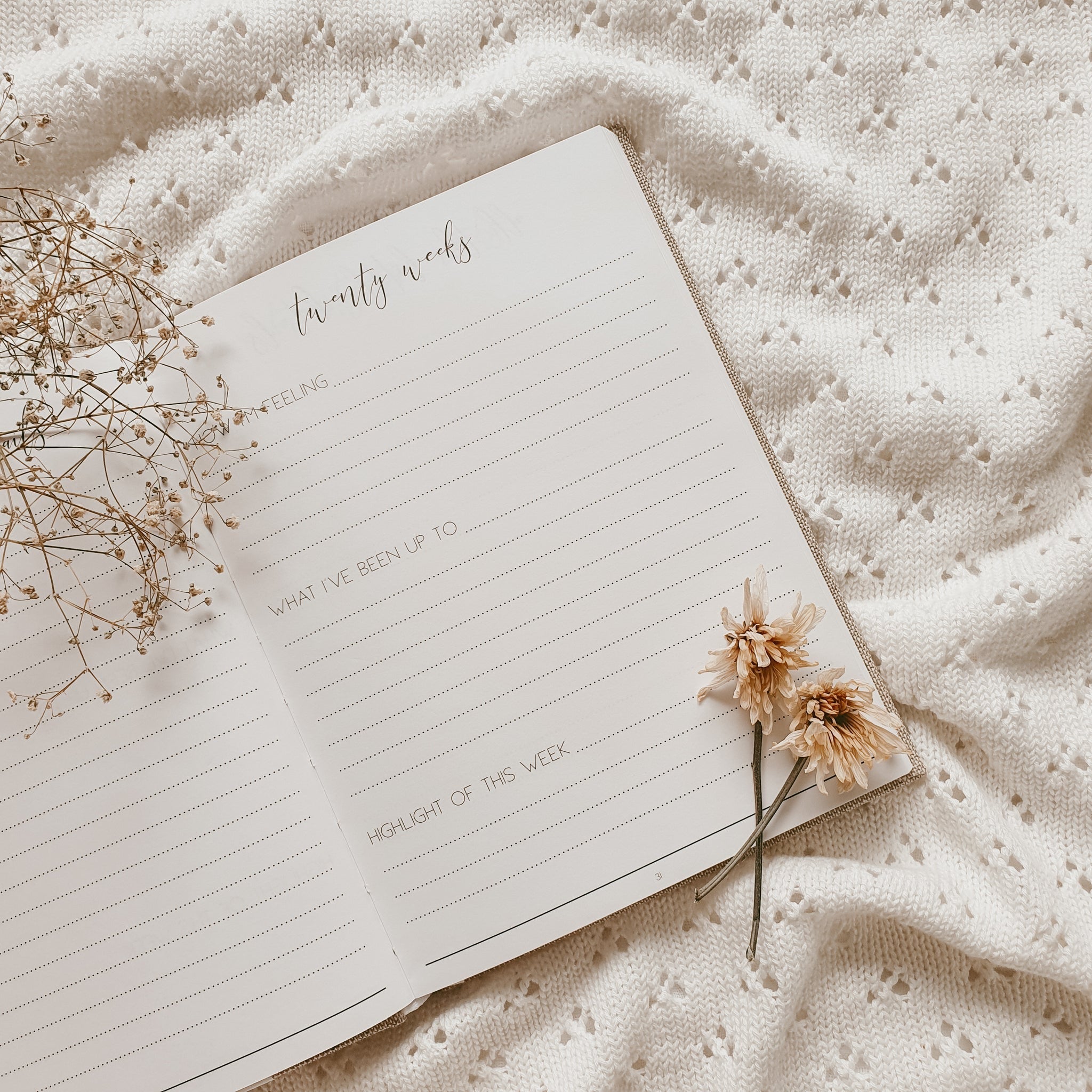 Hello Little Mama - Pregnancy Journal | Sage Green