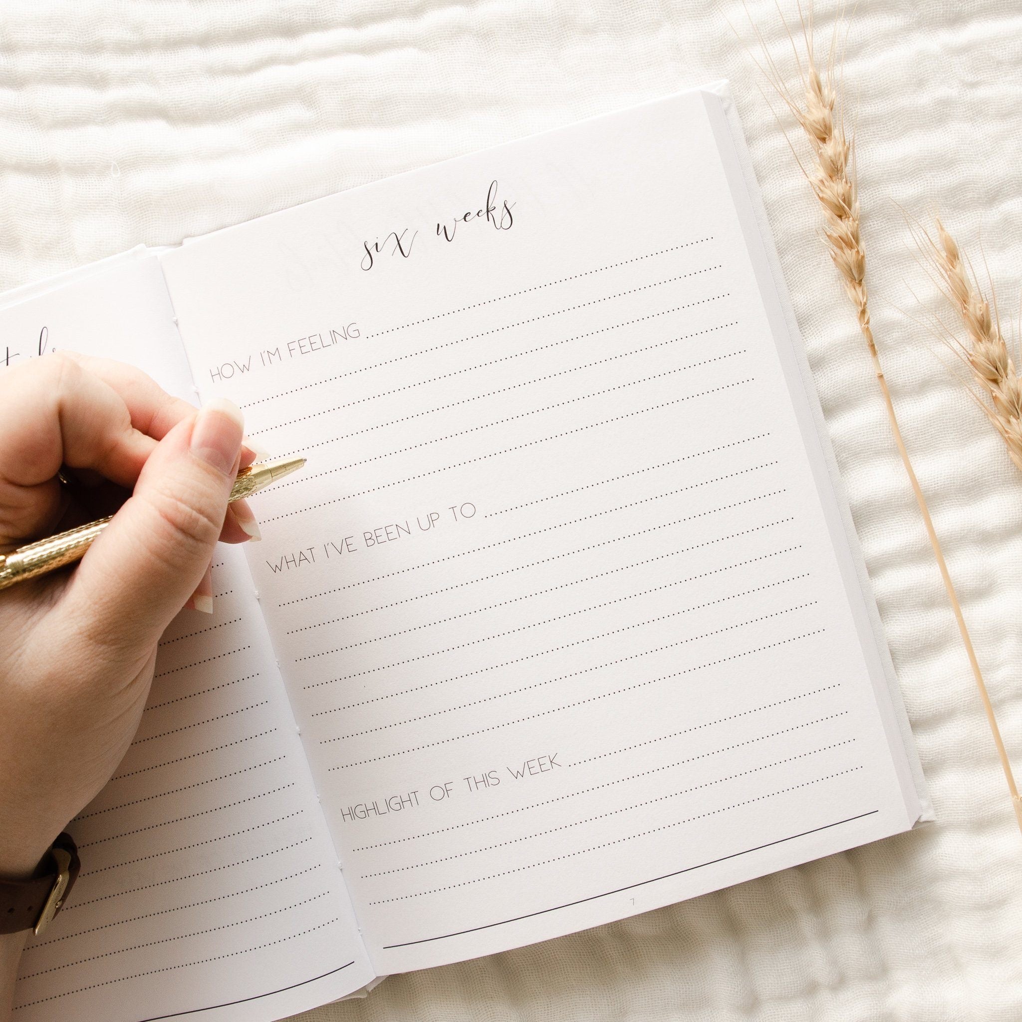 Hello Little Mama - Pregnancy Journal | Sage Green